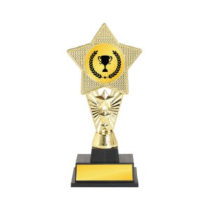 Acrylic Trophy CA2070