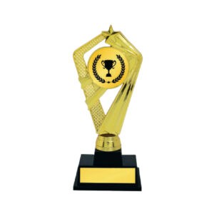 Acrylic Trophy CA2073