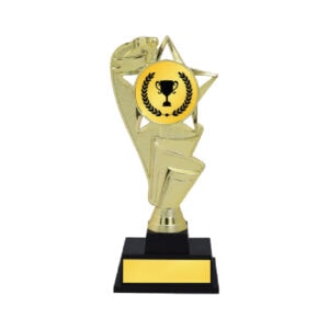 Acrylic Trophy CA2076