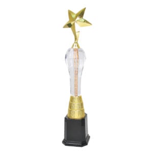 Acrylic Trophy CA2080