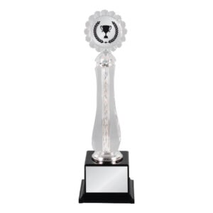 Acrylic Trophy CA2084
