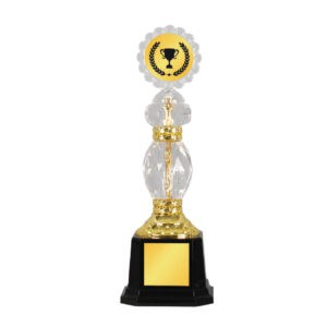 Acrylic Trophy CA2086