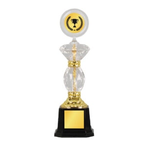 Acrylic Trophy CA2087