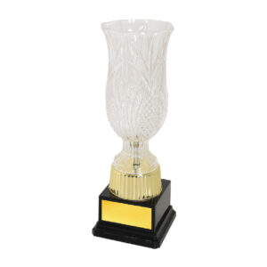 Acrylic Trophy CA2088