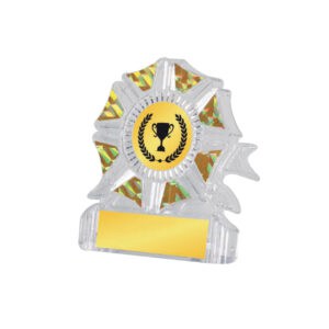 Acrylic Awards CA5021