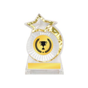 Acrylic Awards CA5023