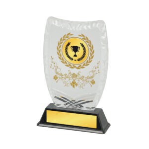Acrylic Awards CA5028