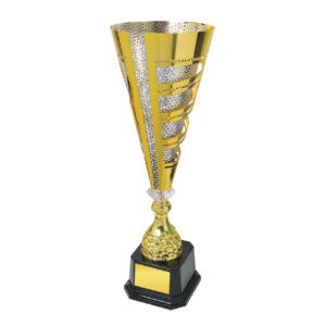 Cup Trophy IC154