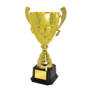 Cup Trophy IC156
