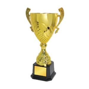 Cup Trophy IC161