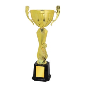 Cup Trophy Cup Trophy IC163 Cup Trophy IC163