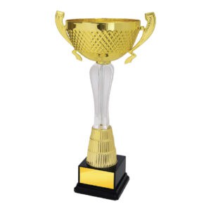 Cup Trophy IC169