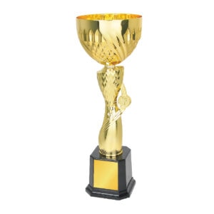 Cup Trophy IC297