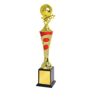 Football Trophy ST1020