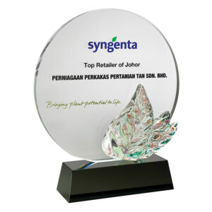 Crystal Plaques CR3130