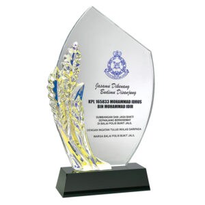 Crystal Plaques CR3138