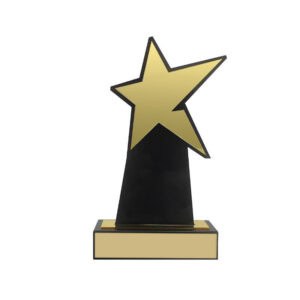 Custom Trophy CTR0029