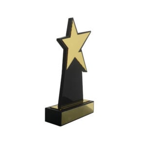 Custom Trophy CTR0029