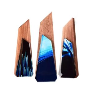 Custom Trophy CTR0045