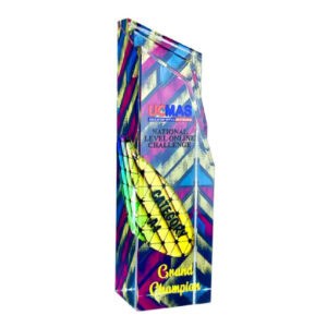 Acrylic Trophy 1088
