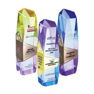 Acrylic Trophy 1070