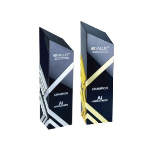 Acrylic Trophy 1100